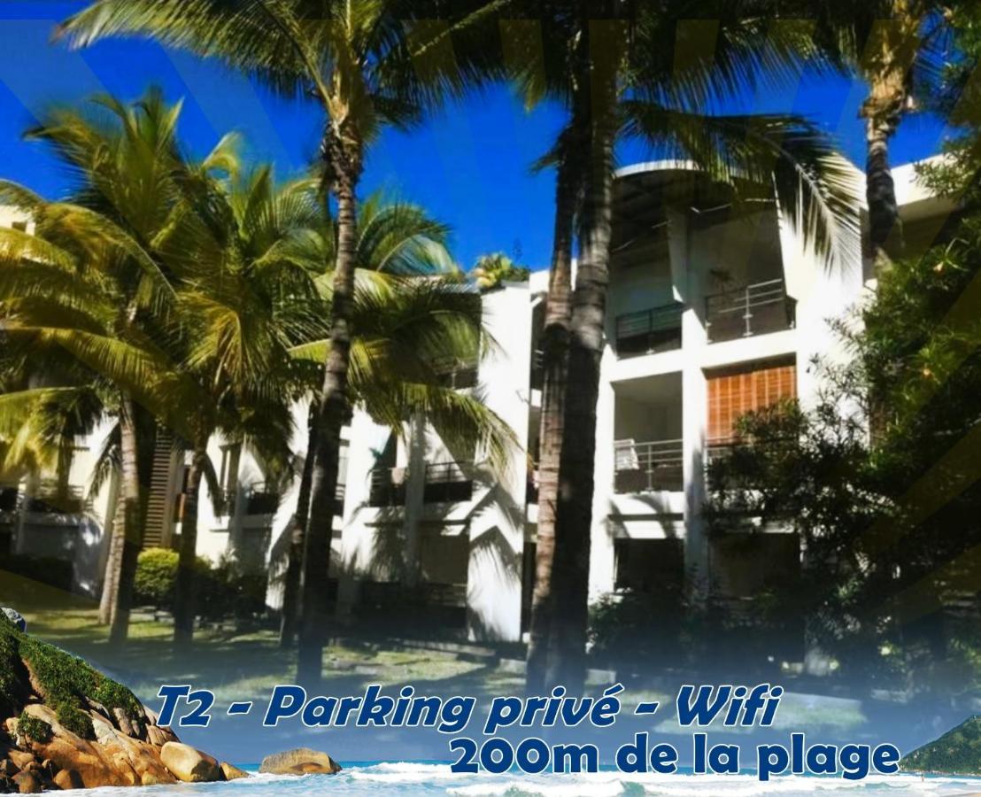 Palmae De Boucan Canot T2 St-Gilles A 200M De La Plage Saint-Gilles-les-Bains Exterior foto